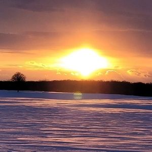 Meet your Posher, Sylvie